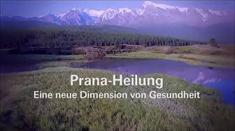 Einführungsvideo